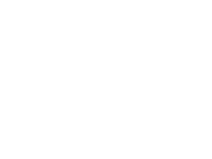 lynn_team_logo_white_lg